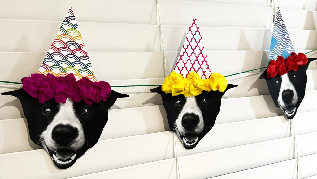 Custom Pet Face Birthday Banner, Dog Birthday Decoration, Cat Birthday Banner, Personalized Pet Party Banner, Gotcha Day Banner